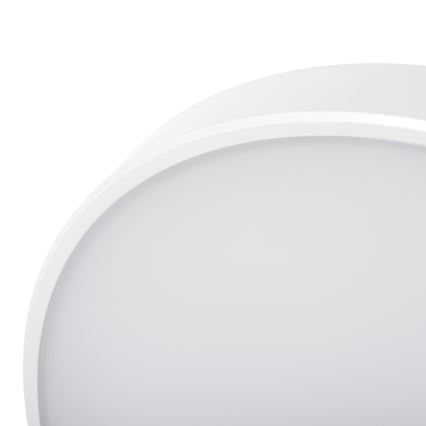 LED Stmívatelné stropní svítidlo PLAFON LED/20W/230V 3000-6500K Wi-Fi bílá