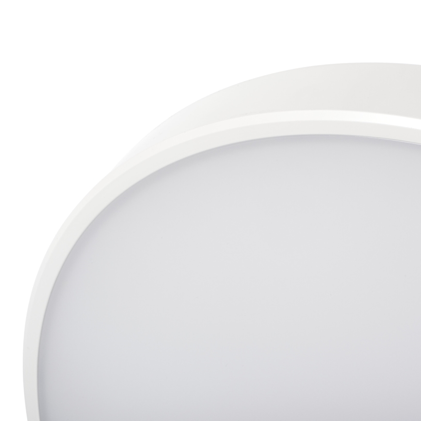 LED Stmívatelné stropní svítidlo PLAFON LED/20W/230V 3000-6500K Wi-Fi bílá