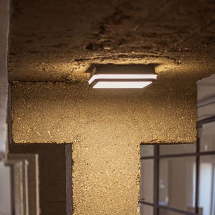 LED Venkovní stropní svítidlo se senzorem pohybu BENO LED/12/18W/230V 3000/3500/4000K IP65 antracit hranatý