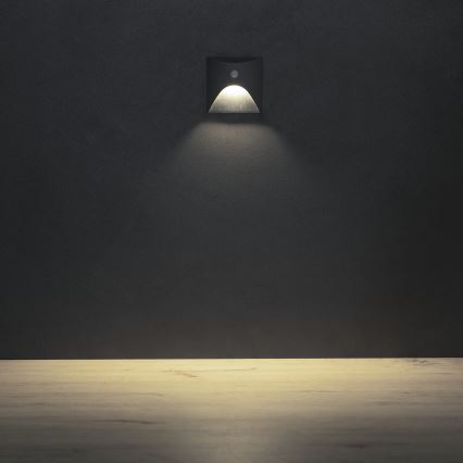 LED Schodišťové svítidlo se senzorem pohybu a soumraku EXIN LED/2,5W/230V 4000K IP65 antracit hranatý