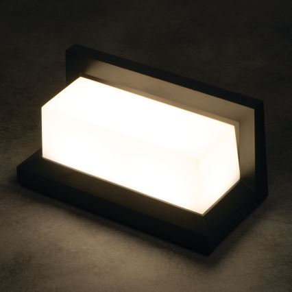 LED Venkovní nástěnné svítidlo LERTO LED/12W/230V IP54 černá