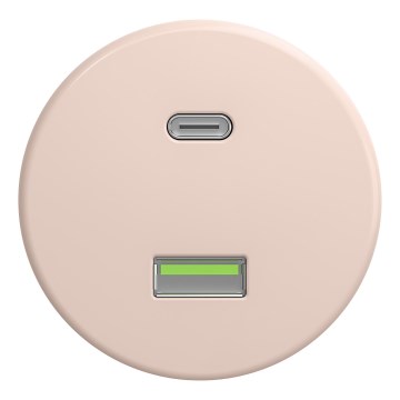 Kliklap - Retro USB zásuvka A+C bez rámečku starorůžová