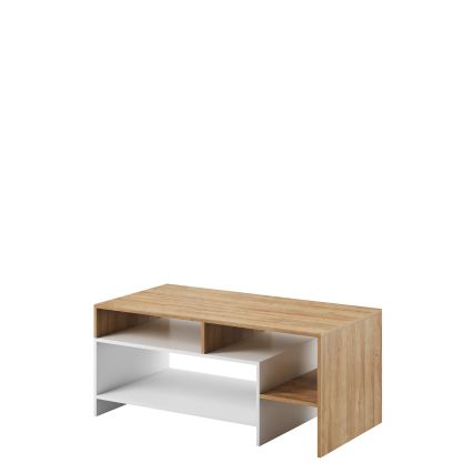 Konferenční stolek ALVA 120x53 cm bílá/dub grande