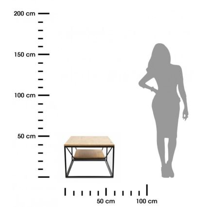 Konferenční stolek BASICLOFT 40x80 cm černá/hnědá