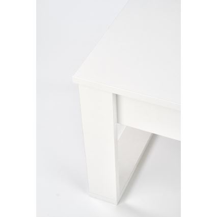 Konferenční stolek se zásuvkami NEA 52x110 cm bílá