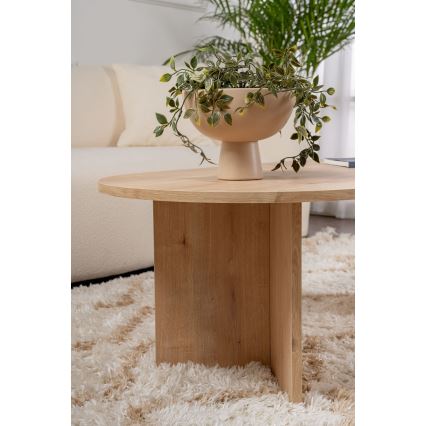 Konferenční stolek NEL 119x60 cm dub