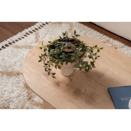 Konferenční stolek NEL 119x60 cm dub