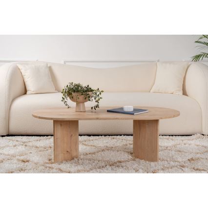 Konferenční stolek NEL 119x60 cm dub