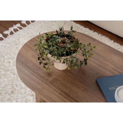 Konferenční stolek NEL 119x60 cm ořech