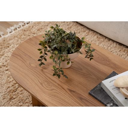 Konferenční stolek OVAL 60x120 cm hnědá