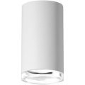 Koupelnové bodové svítidlo TURYN 1xGU10/10W/230V IP44 bílá