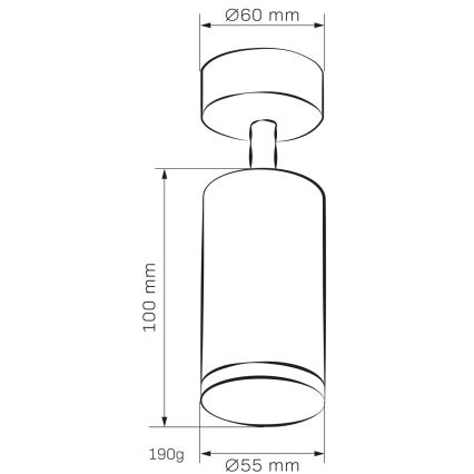 Koupelnové bodové svítidlo TURYN 1xGU10/10W/230V IP44 bílá