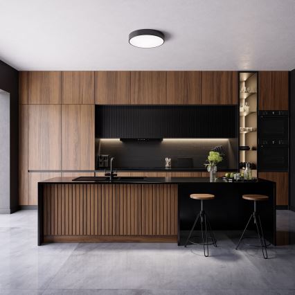 Koupelnové stropní svítidlo CLEO 4xE27/24W/230V pr. 50 cm černá IP54