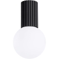 Koupelnové stropní svítidlo HALO 1xG9/8W/230V pr. 12 cm IP44 černá