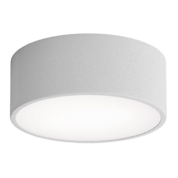 Koupelnové stropní svítidlo se senzorem CLEO 1xE27/24W/230V pr. 20 cm IP54 šedá
