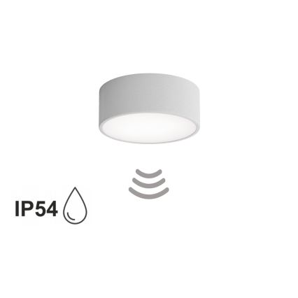 Koupelnové stropní svítidlo se senzorem CLEO 1xE27/24W/230V pr. 20 cm IP54 šedá