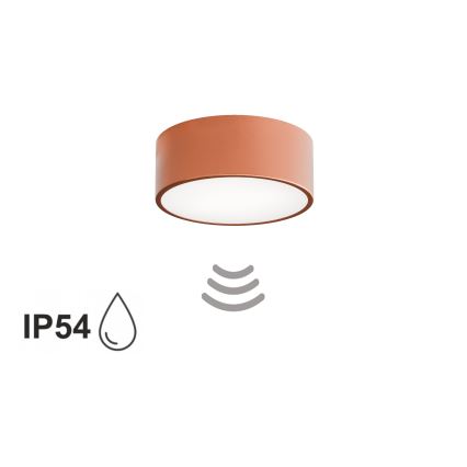 Koupelnové stropní svítidlo se senzorem CLEO 1xE27/24W/230V pr. 20cm IP54 měděná