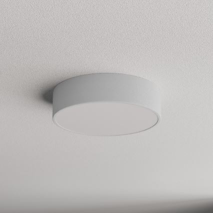 Koupelnové stropní svítidlo se senzorem CLEO 2xE27/24W/230V pr. 30 cm šedá IP54