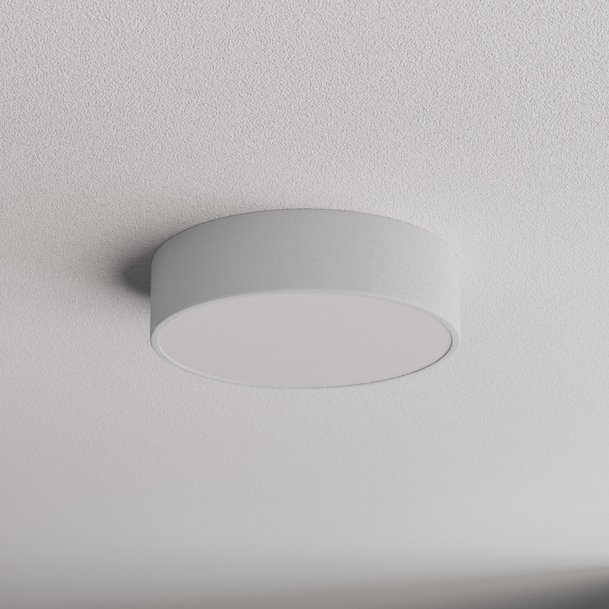 Koupelnové stropní svítidlo se senzorem CLEO 2xE27/24W/230V pr. 30 cm šedá IP54