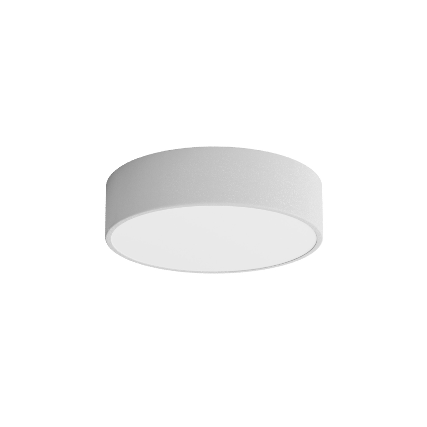 Koupelnové stropní svítidlo se senzorem CLEO 2xE27/24W/230V pr. 30 cm šedá IP54