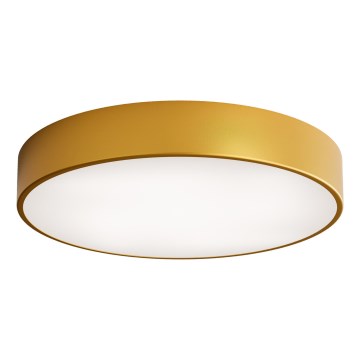 Koupelnové stropní svítidlo se senzorem CLEO 4xE27/24W/230V pr. 50 cm IP54 zlatá