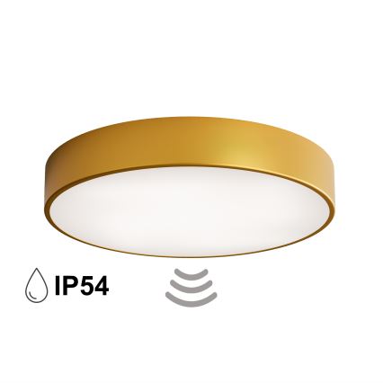 Koupelnové stropní svítidlo se senzorem CLEO 4xE27/24W/230V pr. 50 cm IP54 zlatá