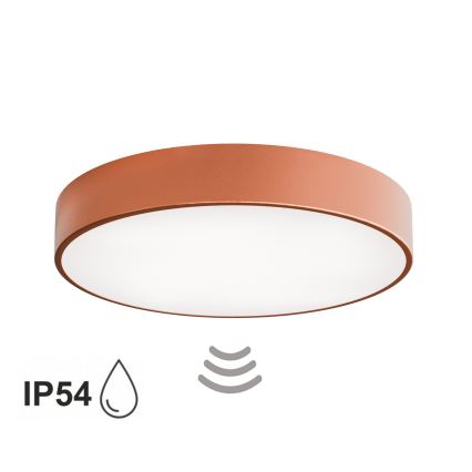 Koupelnové stropní svítidlo se senzorem CLEO 4xE27/24W/230V pr. 50 cm IP54 měděná