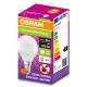 LED Antibakteriální žárovka P40 E14/4,9W/230V 4000K - Osram