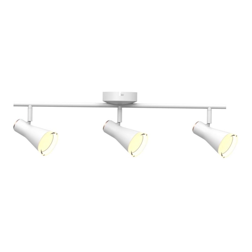 LED Bodové svítidlo BERG 3xLED/4,2W/230V bílá