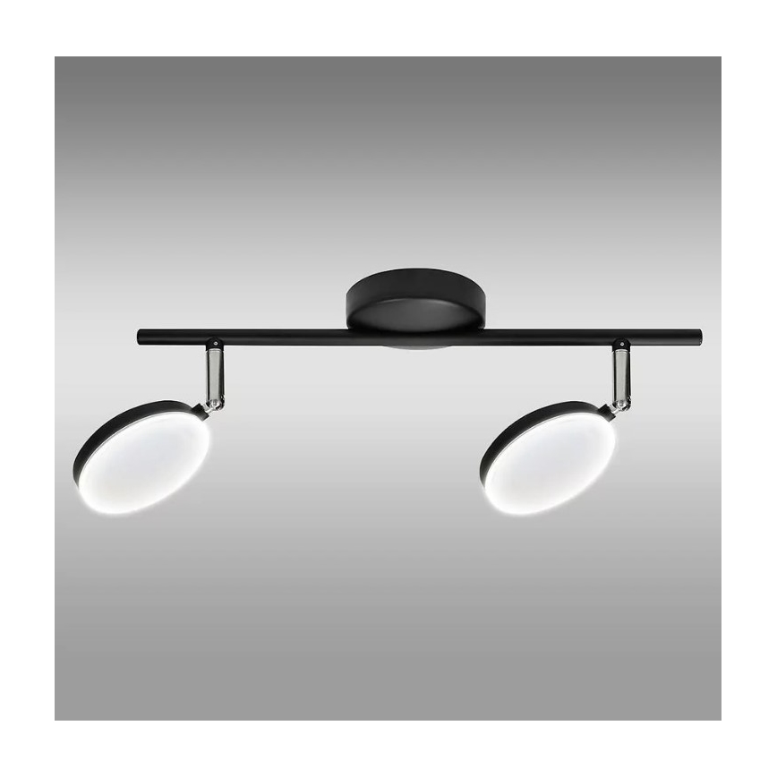 LED Bodové svítidlo CAPRI 2xLED/5W/230V