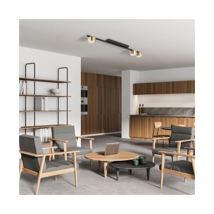 LED Bodové svítidlo LOGAN 3xGU10/10W/230V černá/zlatá