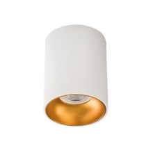 LED Bodové svítidlo RITI 1xGU10/10W/230V bílá/zlatá
