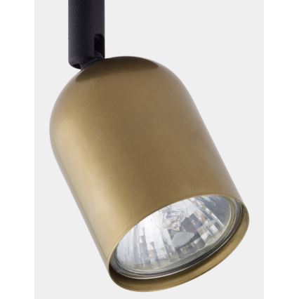 LED Bodové svítidlo TOP 1xGU10/10W/230V zlatá/černá