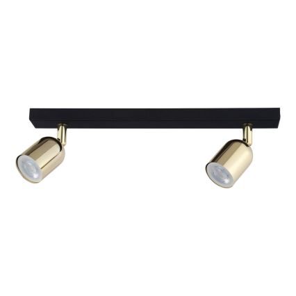 LED Bodové svítidlo TOP 2xGU10/10W/230V černá/zlatá