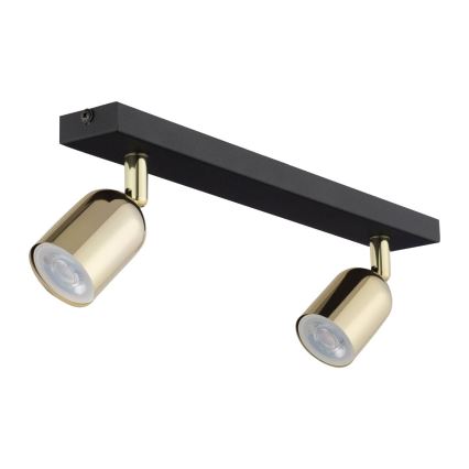 LED Bodové svítidlo TOP 2xGU10/10W/230V černá/zlatá