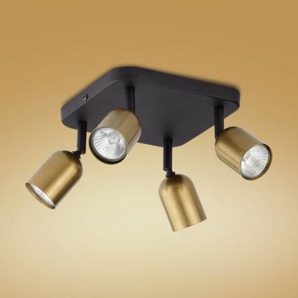 LED Bodové svítidlo TOP 4xGU10/10W/230V zlatá/černá