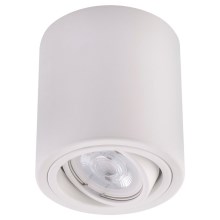 LED Bodové svítidlo TUBA 1xGU10/5W/230V 2700K bílá
