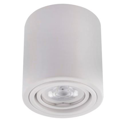 LED Bodové svítidlo TUBA 1xGU10/5W/230V 2700K bílá