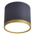 LED Bodové svítidlo TUBA LED/9W/230V černá/zlatá