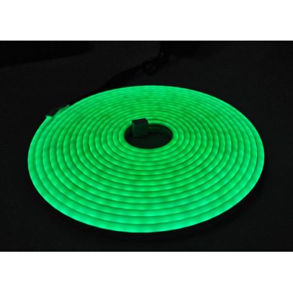 LED Flexibilní pásek NEON LED/10W/230V 5 m IP65 zelená