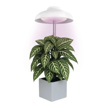 LED Interiérová lampa pro pěstování rostlin GROW LED/5W/5V