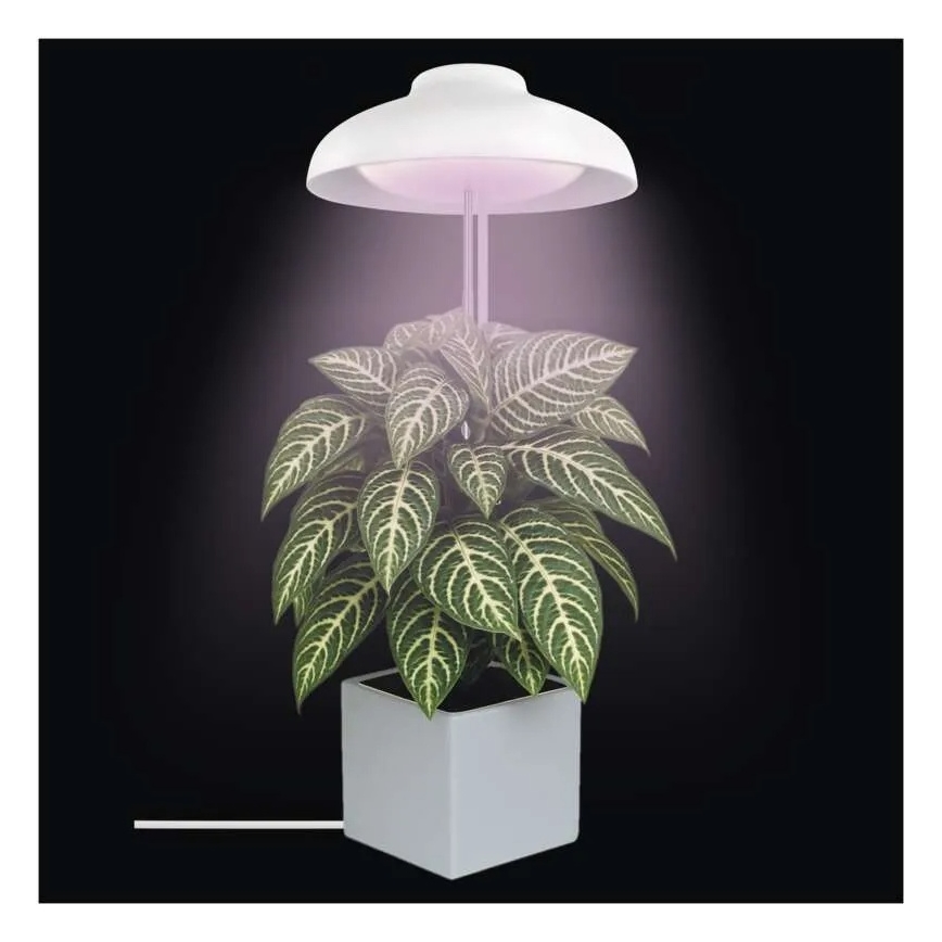 LED Interiérová lampa pro pěstování rostlin GROW LED/5W/5V