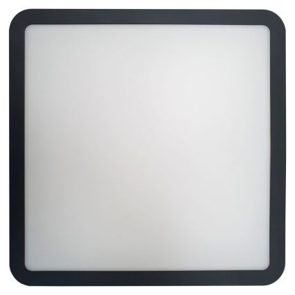 LED Koupelnové stropní svítidlo ELLÉ LED/24W/230V 3000/4000/6500K 26x26 cm IP54 antracit