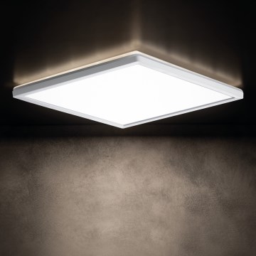 LED Koupelnové stropní svítidlo AZPO LED/12,3W/230V IP54 bílá