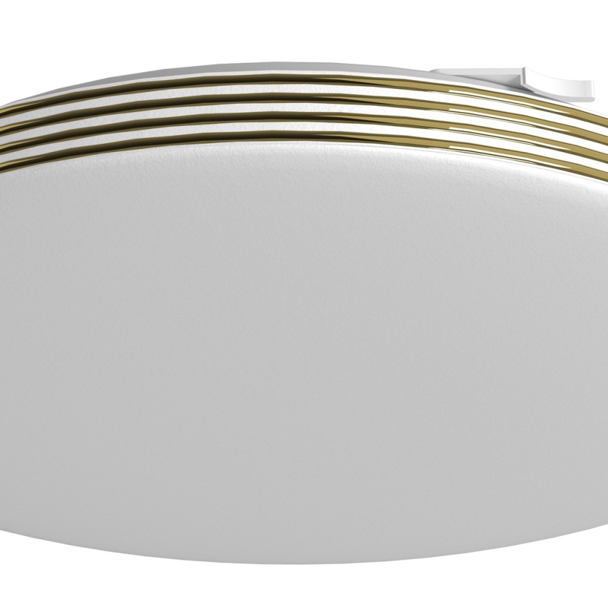LED Koupelnové stropní svítidlo BEVER LED/10W/230V 4000K pr. 26 cm IP44