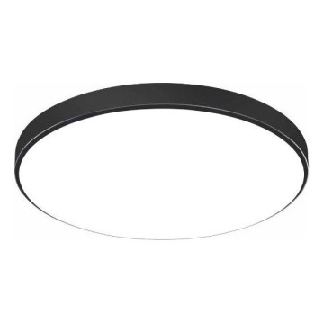 LED Koupelnové stropní svítidlo CARTER LED/12W/230V 6000K IP44 pr. 22 cm černá