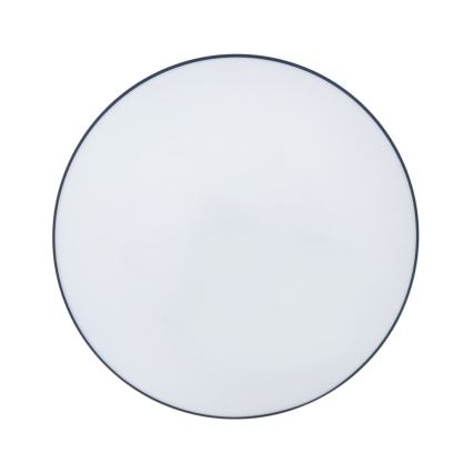 LED Koupelnové stropní svítidlo CIRCLE LED/12W/230V 4000K pr. 25 cm IP44 černá