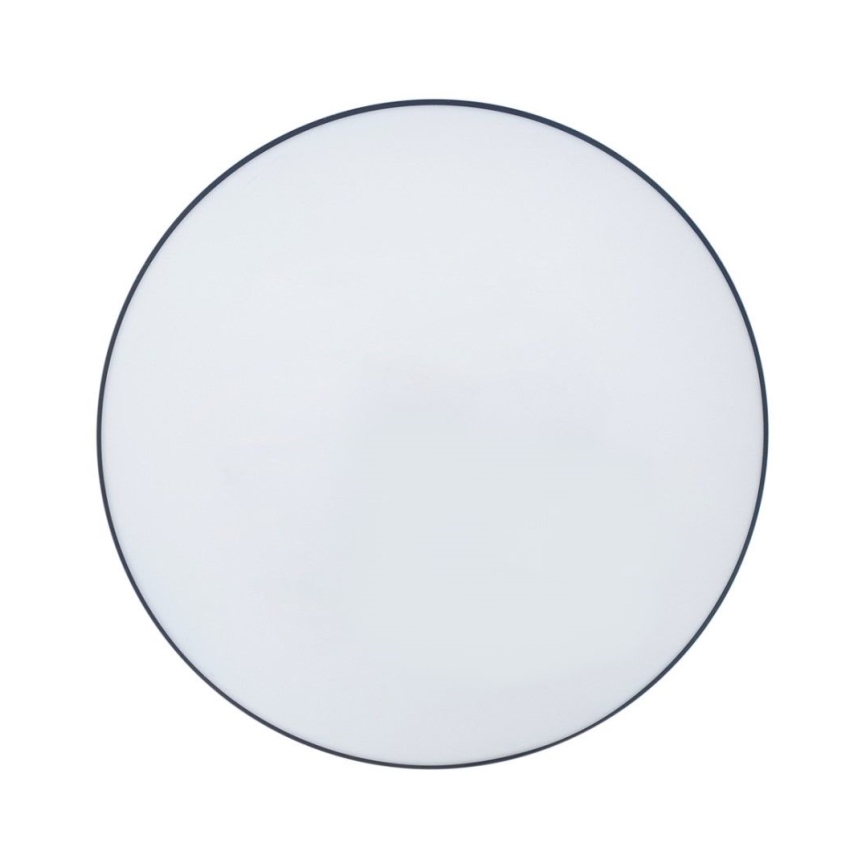 LED Koupelnové stropní svítidlo CIRCLE LED/36W/230V 4000K pr. 45 cm IP44 černá