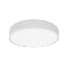 LED Koupelnové stropní svítidlo EGON LED/16W/230V IP44 4000K