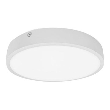 LED Koupelnové stropní svítidlo EGON LED/16W/230V IP44 4000K